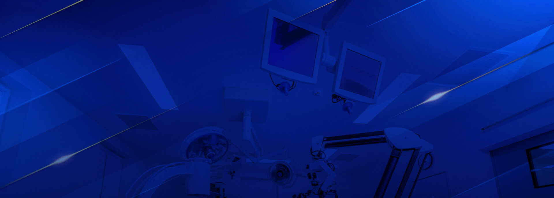 background_expert (1)